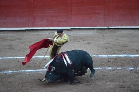 enrique-ponce-2