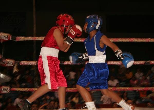 pelea-box-fenza2