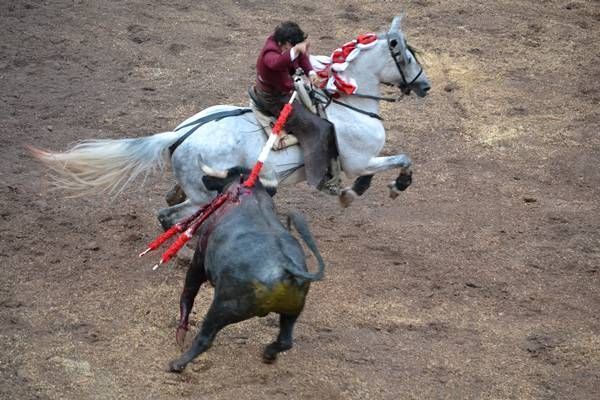 rejones-forcados-jose-ignacio3