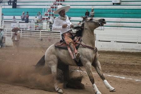 charros charros