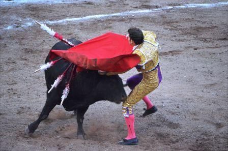 23torosSaldivar-susuto