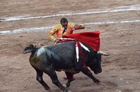23toroszotoluco