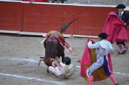 novillada-11