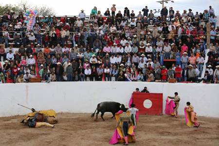 toros-juan-aldama