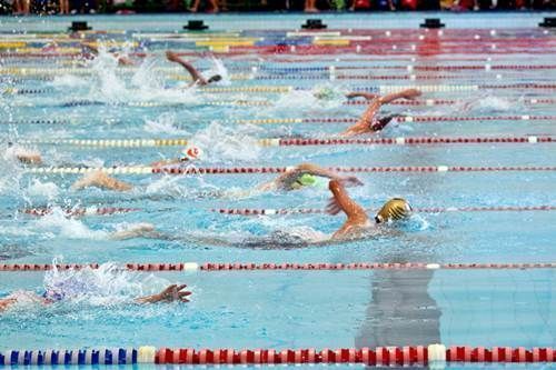 natacion-fenaza2 natacion-fenaza2