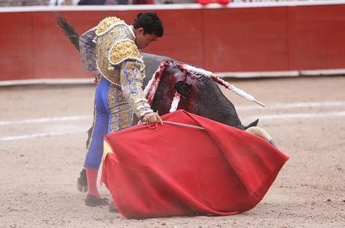 toros3