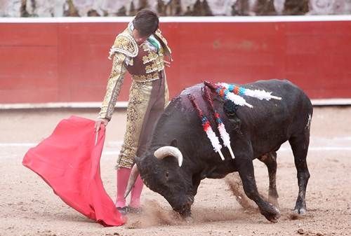 toros5