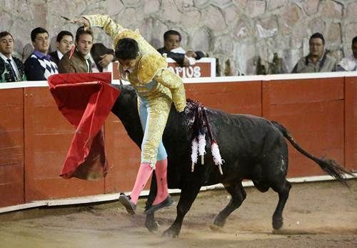 toros6