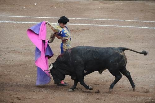 Toros13