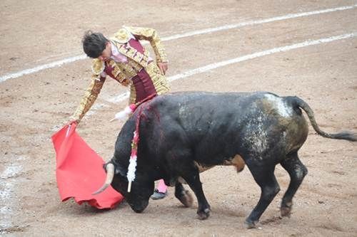 Toros5