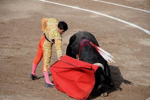 toros3