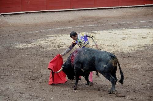 toros4