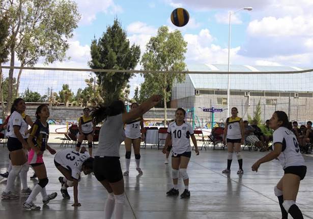 boleibol boleibol