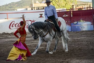 caballos-domec-2