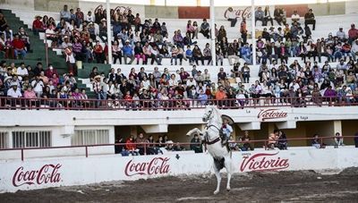 caballos-domec-4
