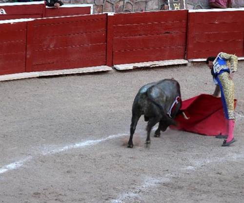 toros3 toros3