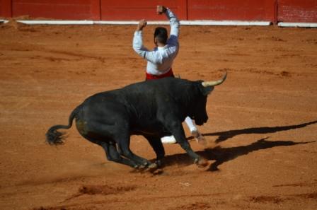 corrida-gobernador-1