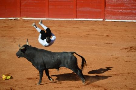 corrida-gobernador