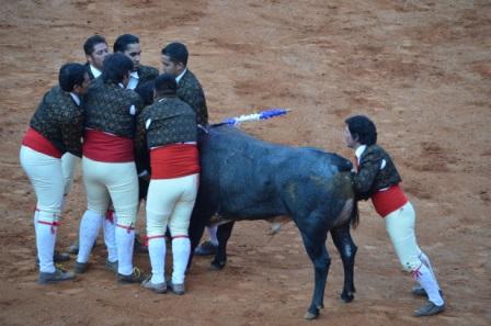 corrida-gobernador-5