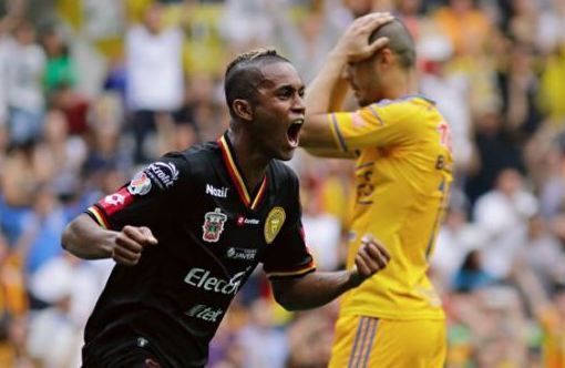 leones negros leones negros