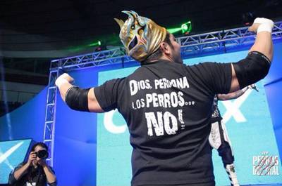 perro aguayo 2