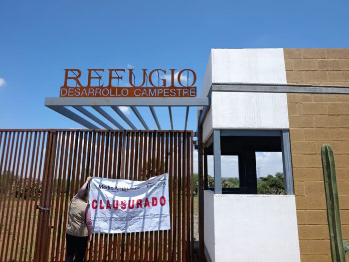 desarrollo campestre