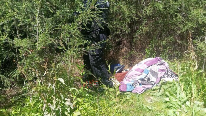 destruyen-narcocampamento-2