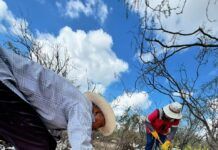 Mejoran relleno sanitario Mina Camino Rojo, Ejido San Tiburcio y Ayuntamiento de Mazapil