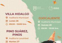 Esterilizarán gratis a mascotas de Pinos, Villa Hidalgo y Ojocaliente