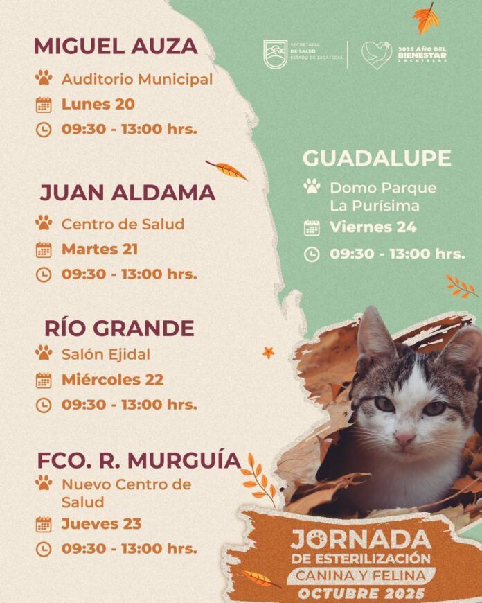 esterilizaciones-gratuitas-1