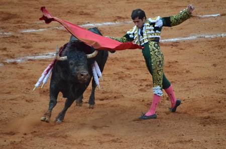 toros-fenaza-1