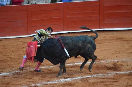 toros-fenaza-2