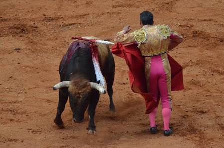 toros-fenaza-3