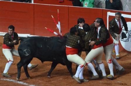corrida-fenaza-2