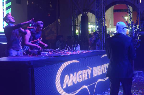 electro-fest-fenaza-2014-7