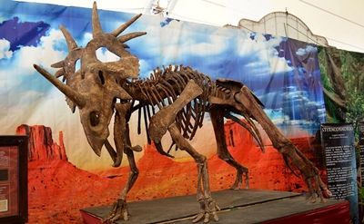 expo-reptiles-3