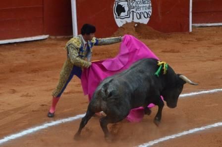 toros-3