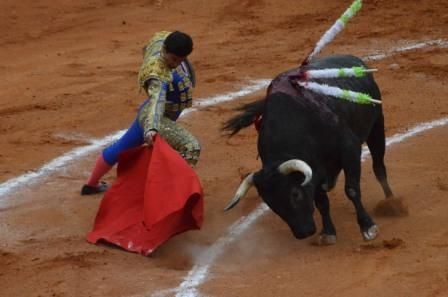 toros-4