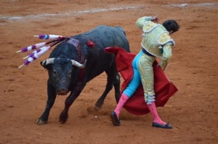 toros-5