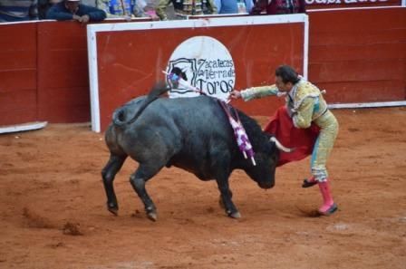 toros-7
