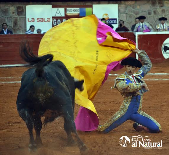 toros-3
