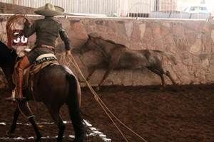 torneo-charro-2