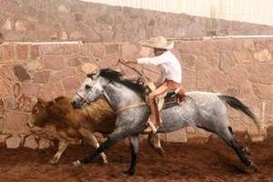 torneo-charro-3