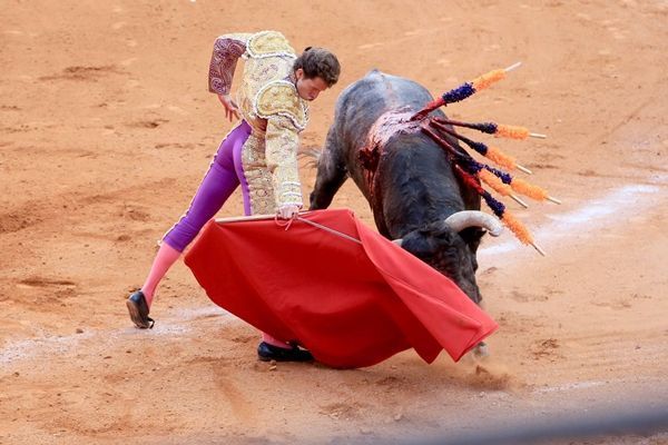 corrida-1