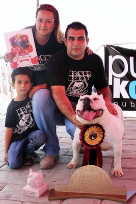 pitbulls-8