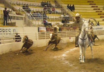 A pesar de la calidad de las competencias, hubo poco público. A pesar de la calidad de las competencias, hubo poco público.