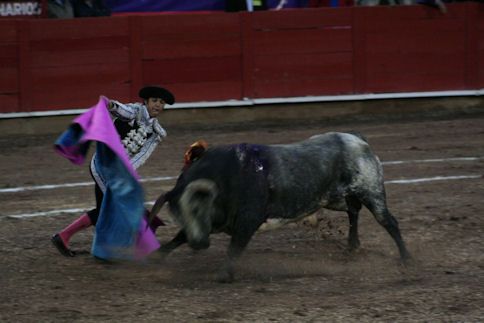 Las actuaciones estuvieron poco lucidas. Las actuaciones estuvieron poco lucidas.