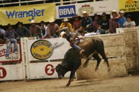Espectaculares montas. Espectaculares montas.