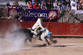 El toro cornó al caballo y Gastón cae. (Fotos: Zacatecasonline) El toro cornó al caballo y Gastón cae.