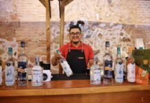 Invitan a Festival del Vino y Mezcal 2026: tradición, sabor y cultura
